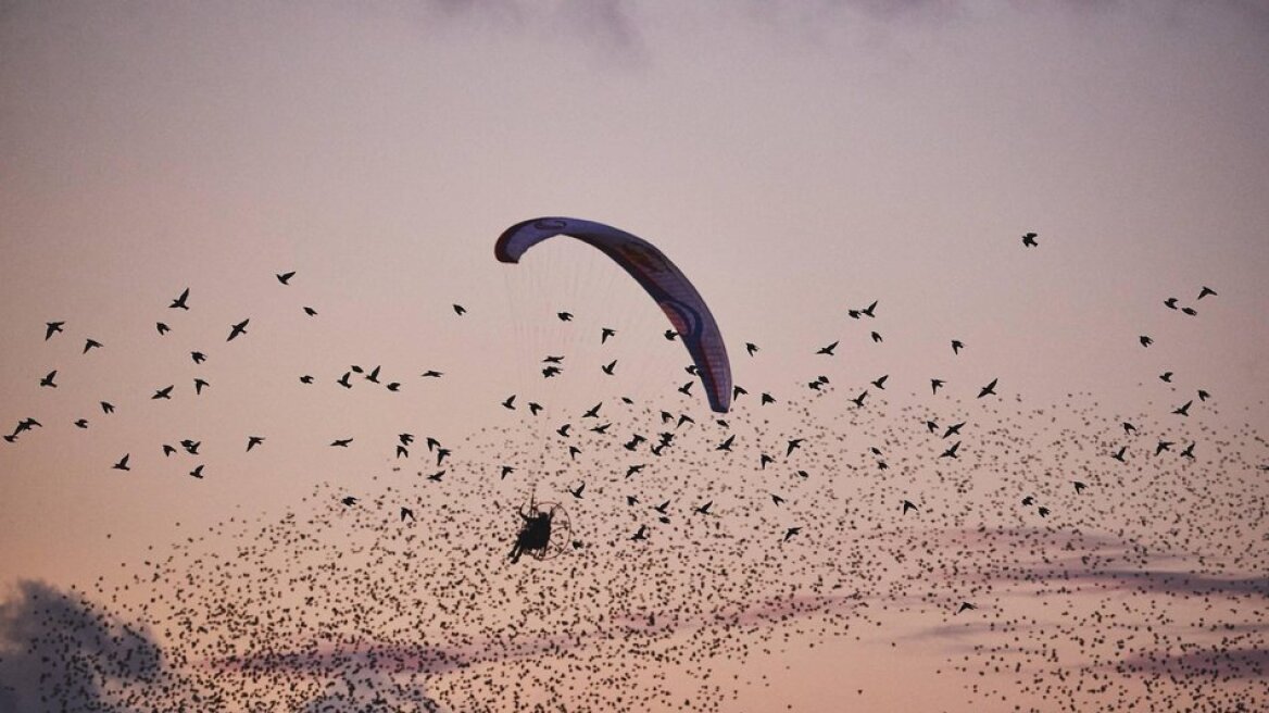 Το φανταστικό φαινόμενο «Black Sun»: Πτήση ανάμεσα σε αρπακτικά πτηνά 